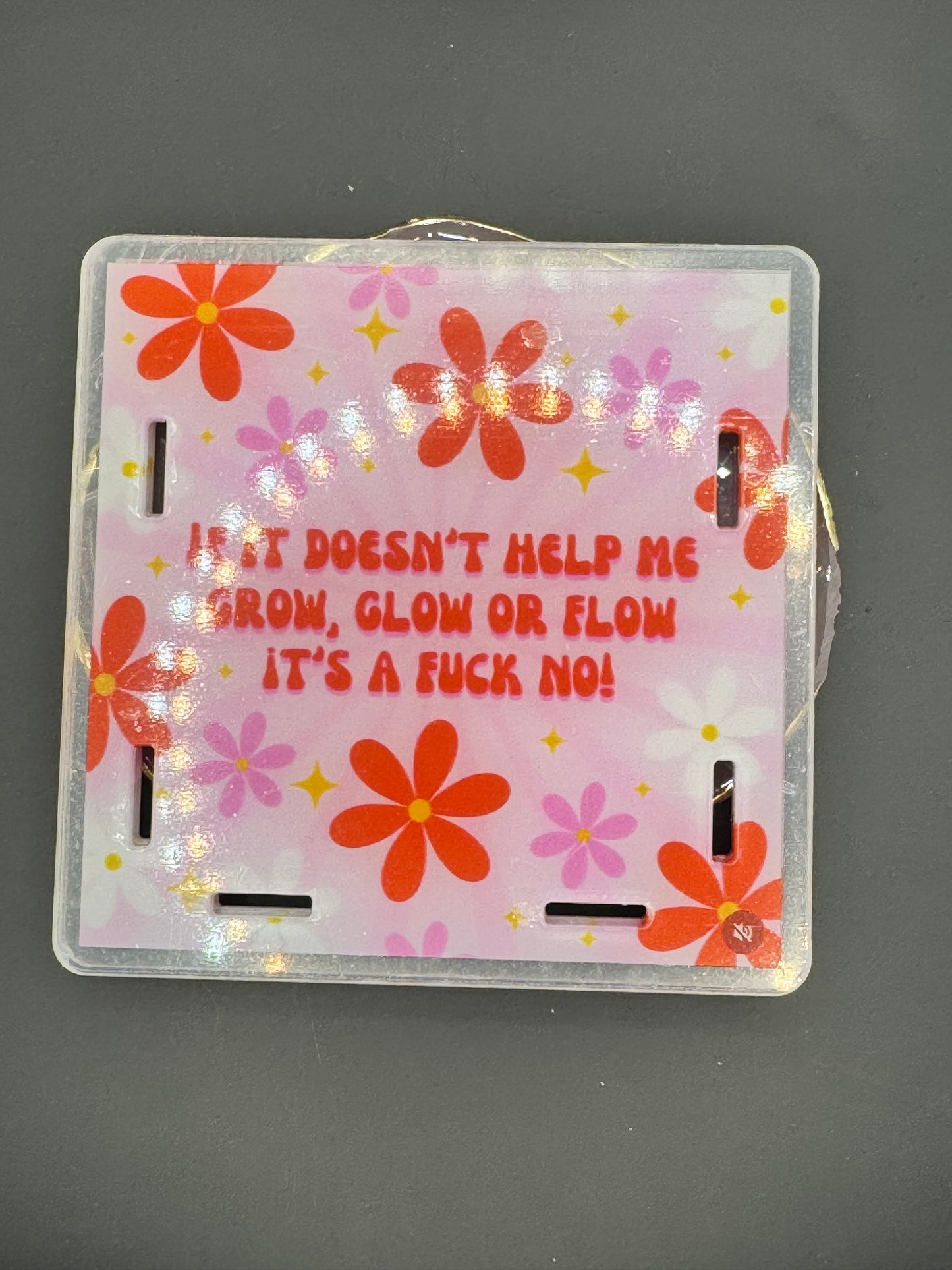 Fuck No - Acrylic Pen Holder