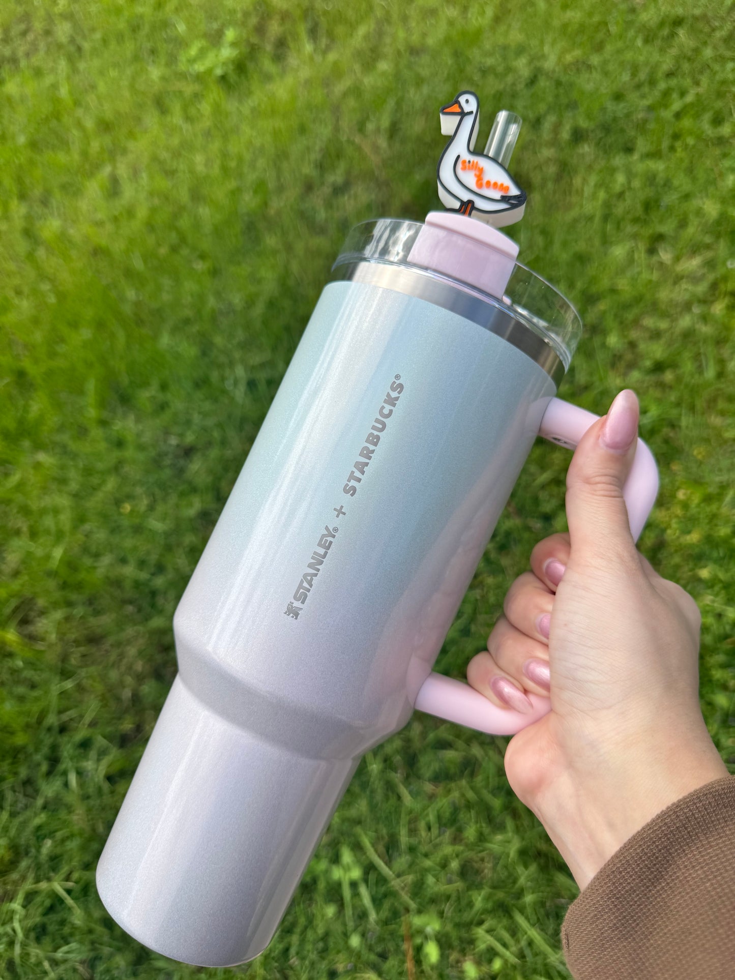 3D Printed Silly Goose - Straw Buddy