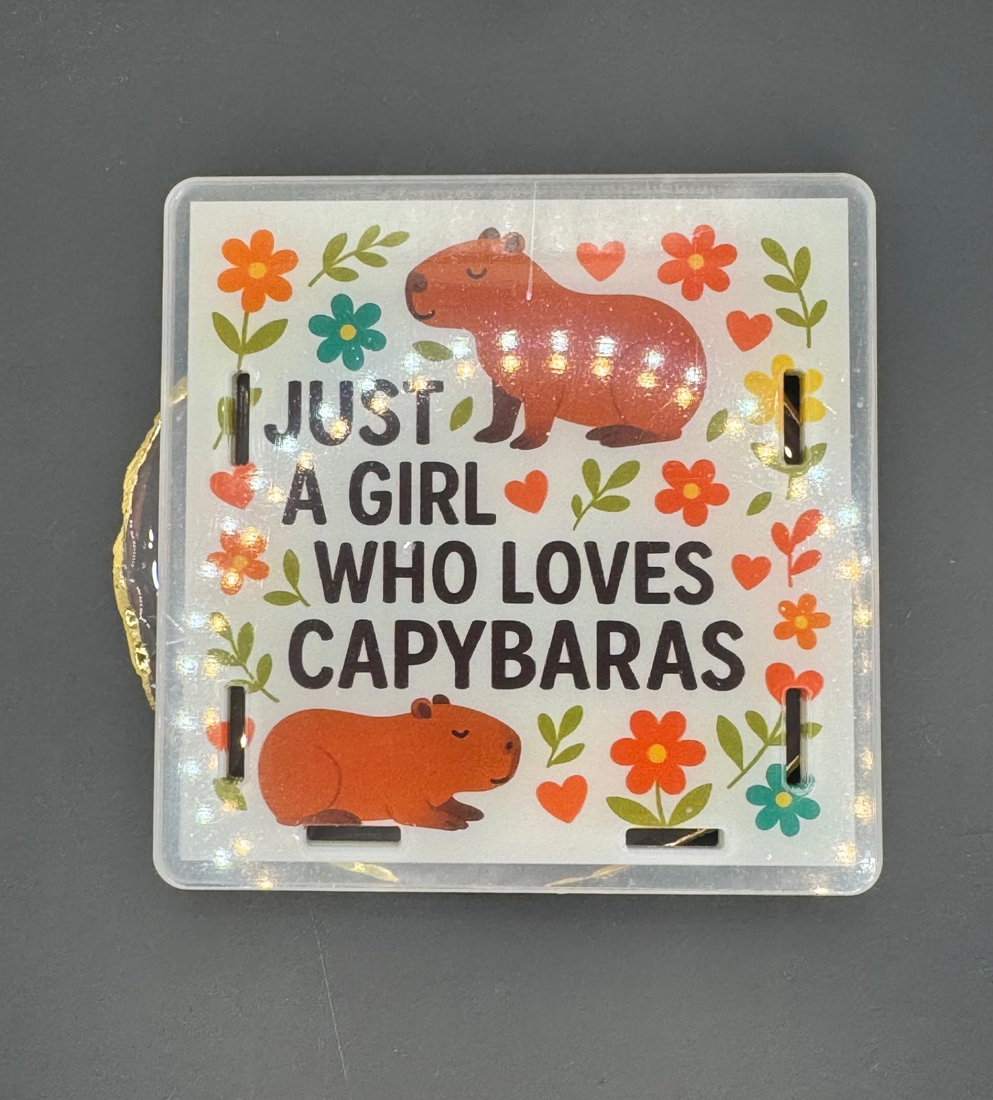 Capybara Love - Acrylic Pen Holder