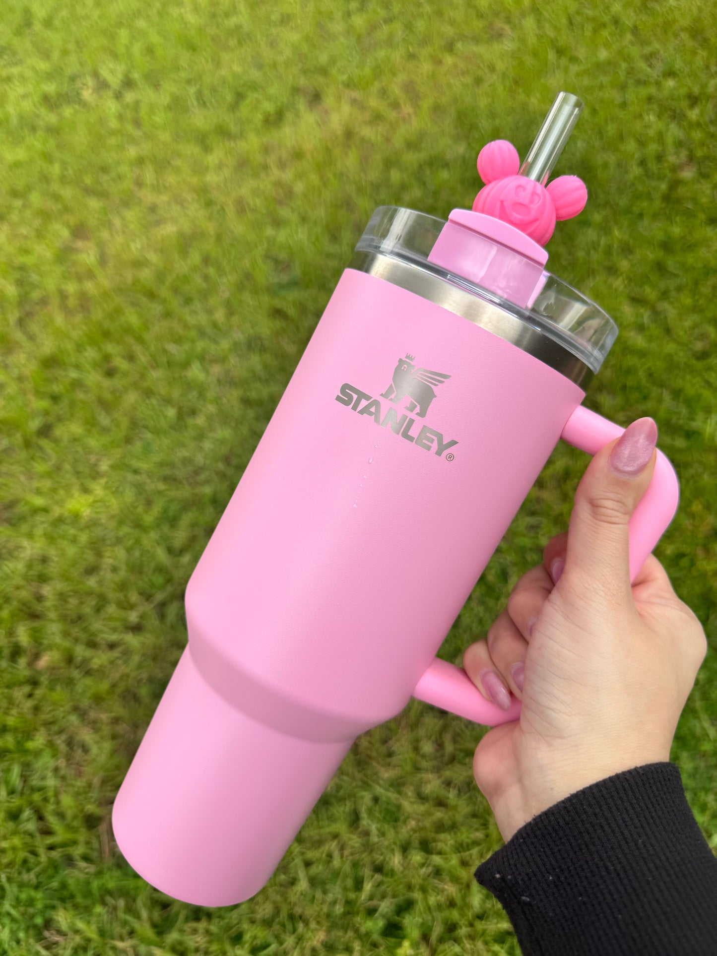 3D Printed Pink Mickey Pumpkin - Straw Buddy