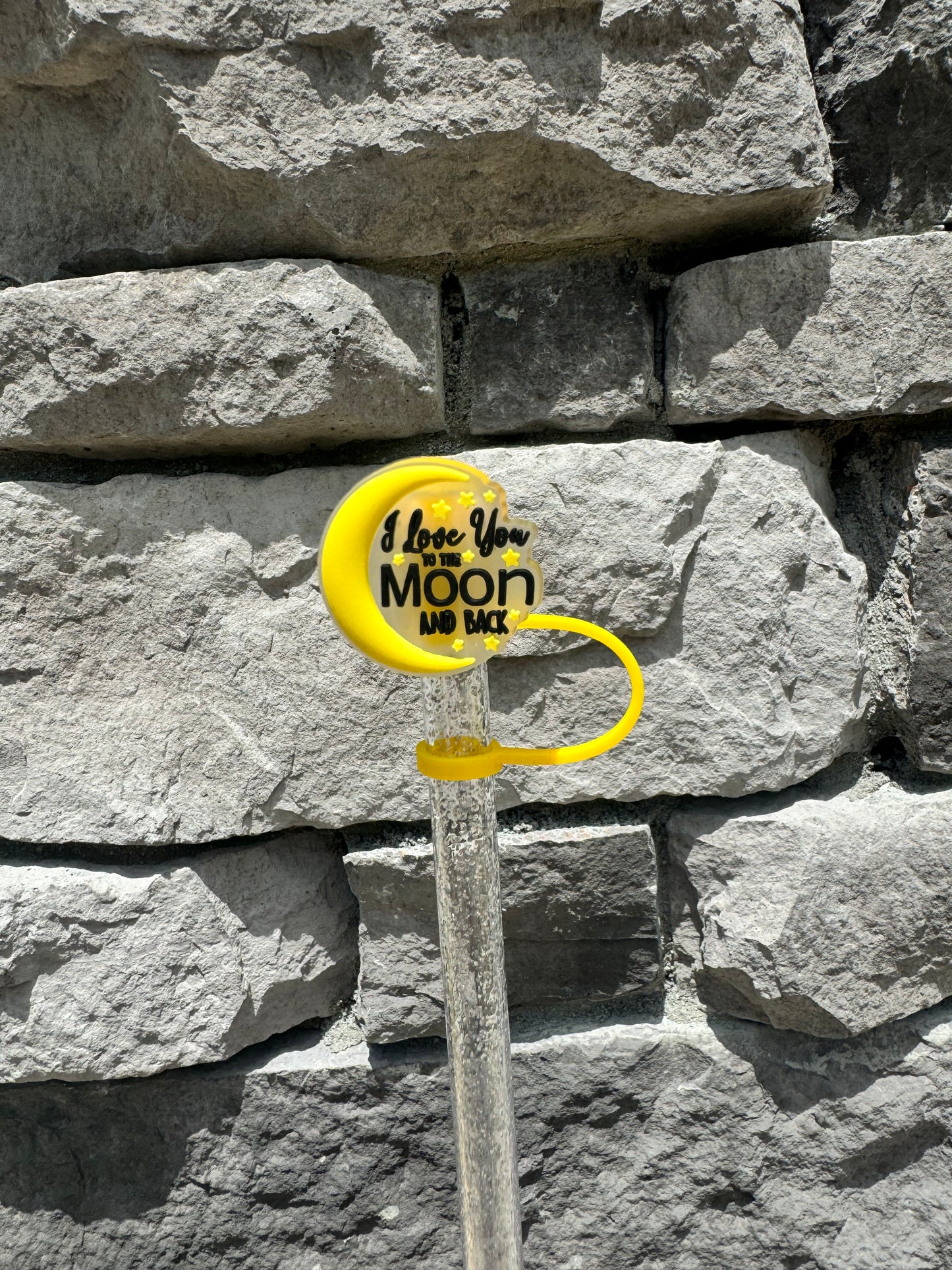 Moon and Back Topper