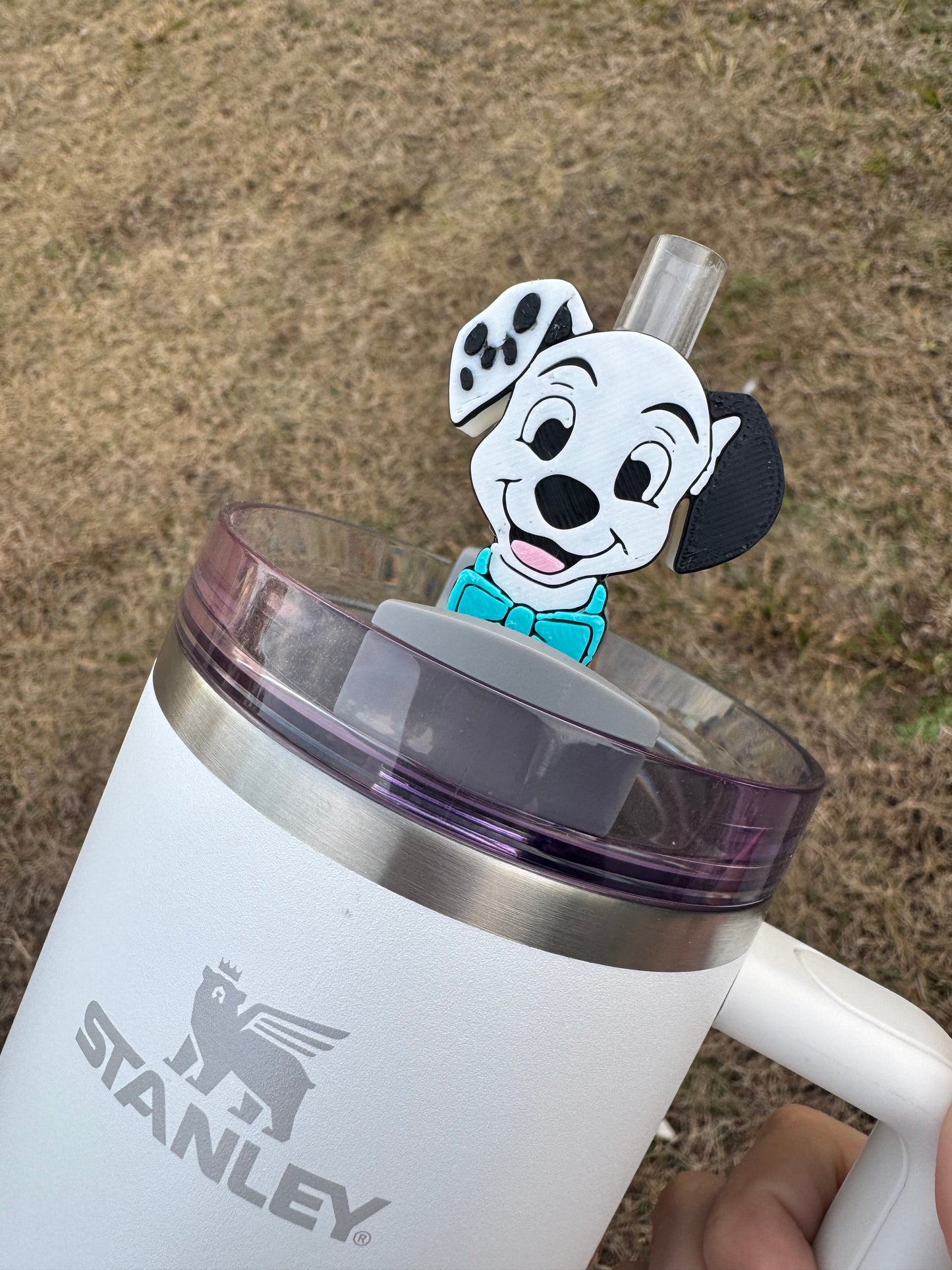 Boy Dalmatian Straw Buddy