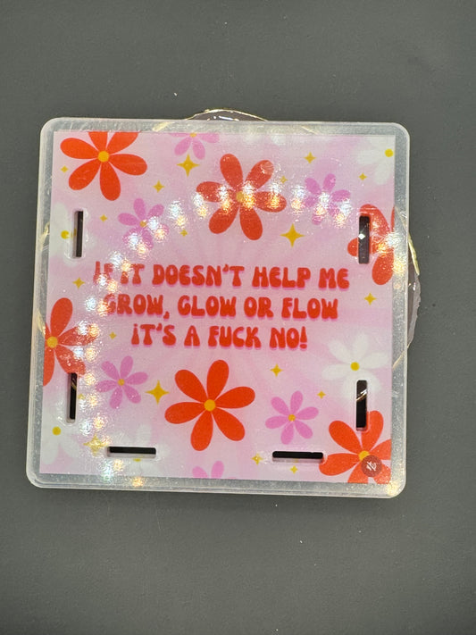 Fuck No - Acrylic Pen Holder