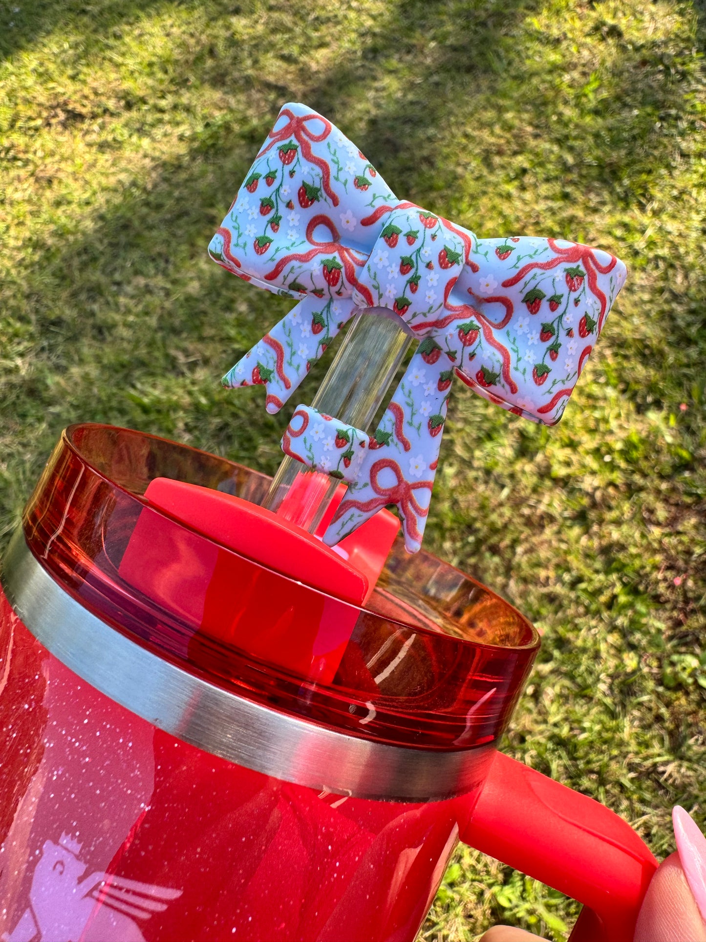 Coquette Berries Accessory Bundle