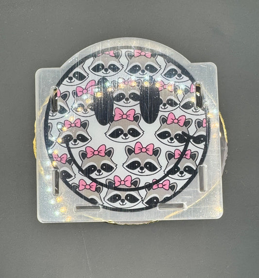 Raccoon Smiles - Acrylic Pen Holder