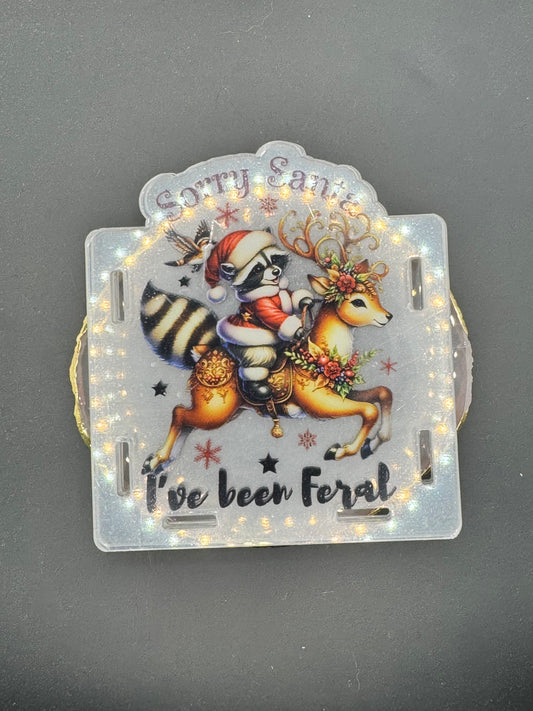 Feral Santa Organizer