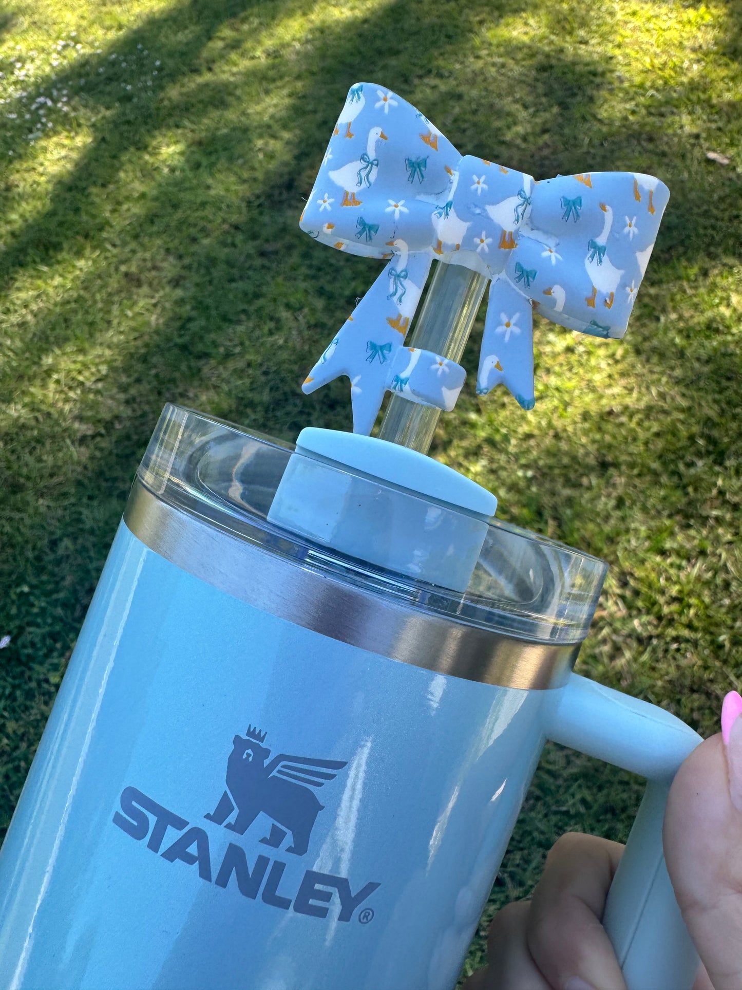 Honk the Goose - Bow & Boot Set