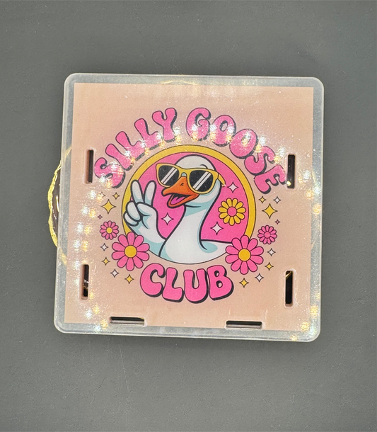 Silly Goose Club - Acrylic Pen Holder