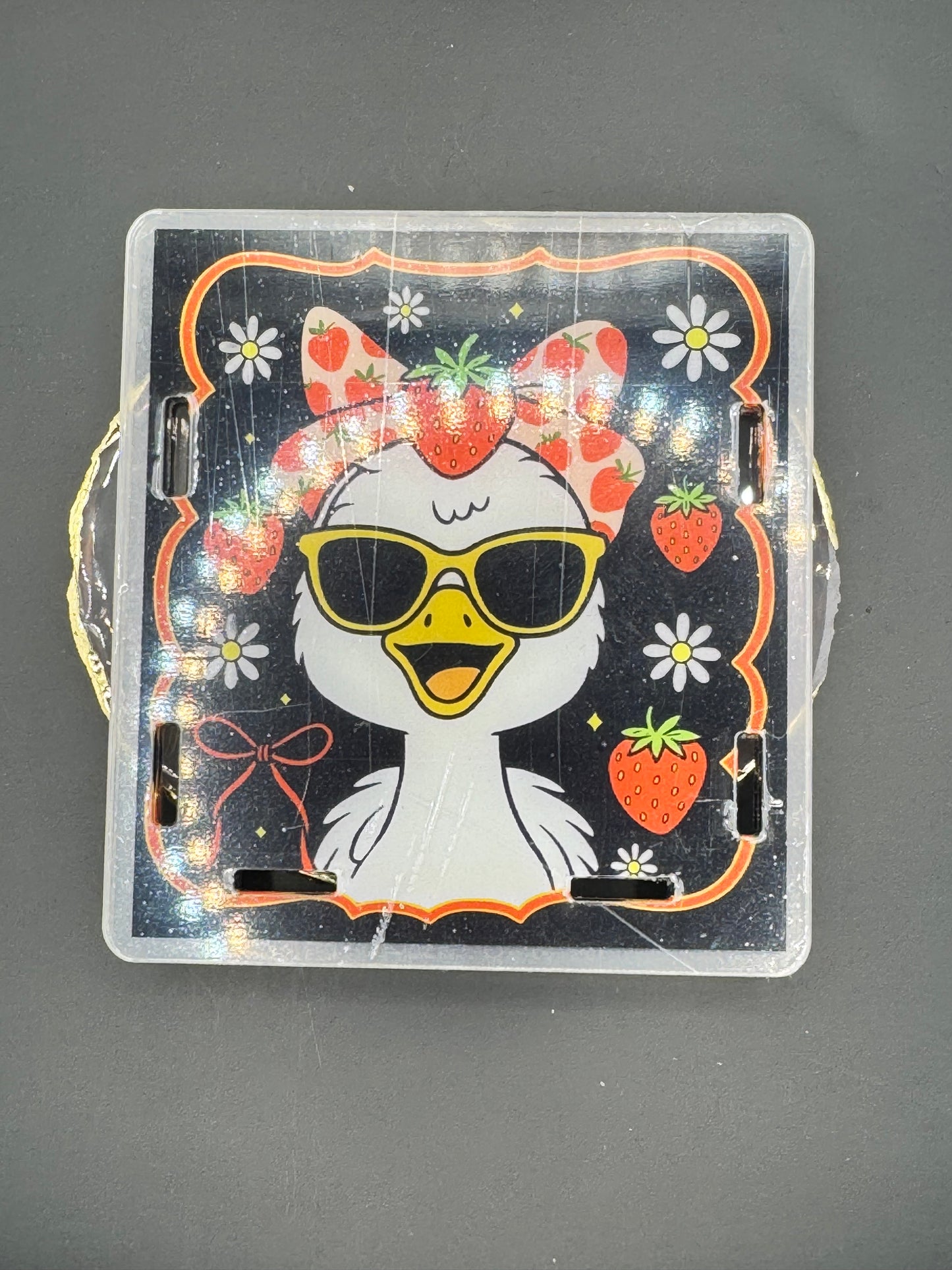 Strawberry Goose - Acrylic Pen Holders