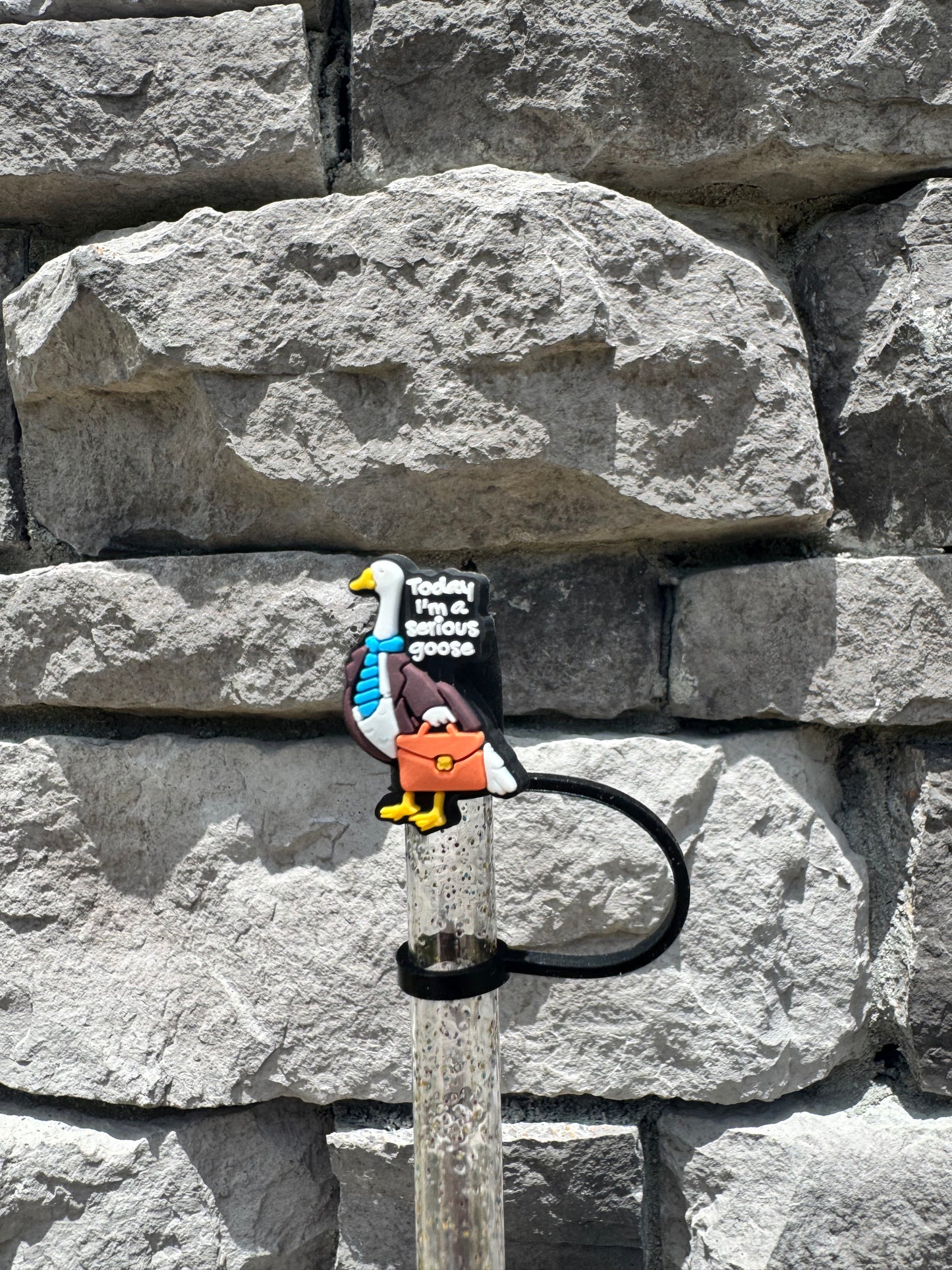 Serious Goose - Straw Topper