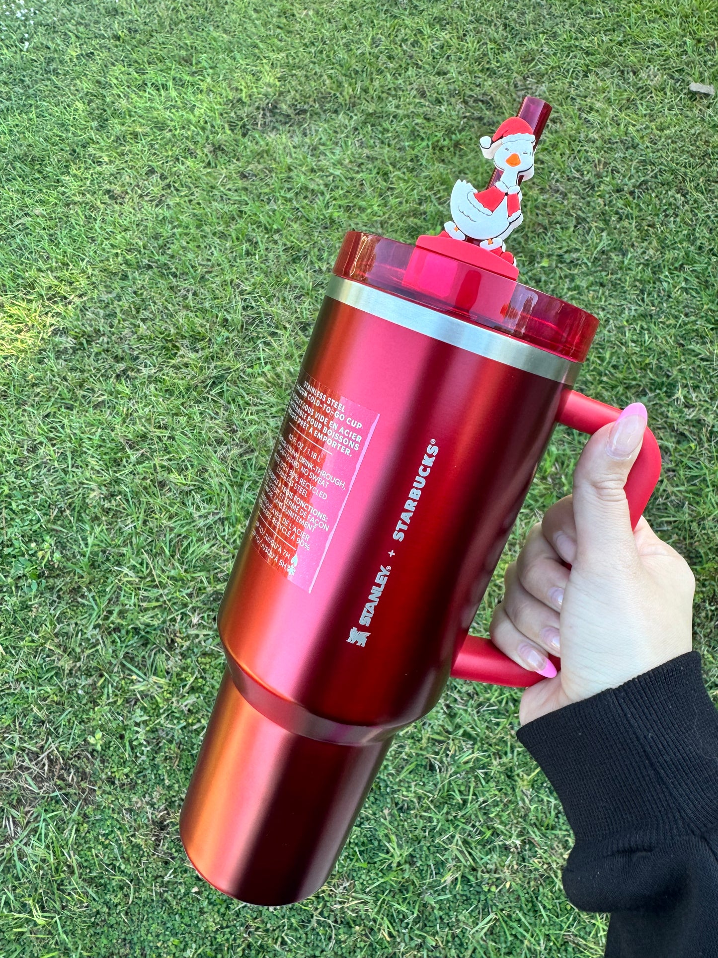 3D Printed Holiday Goose - Straw Buddy