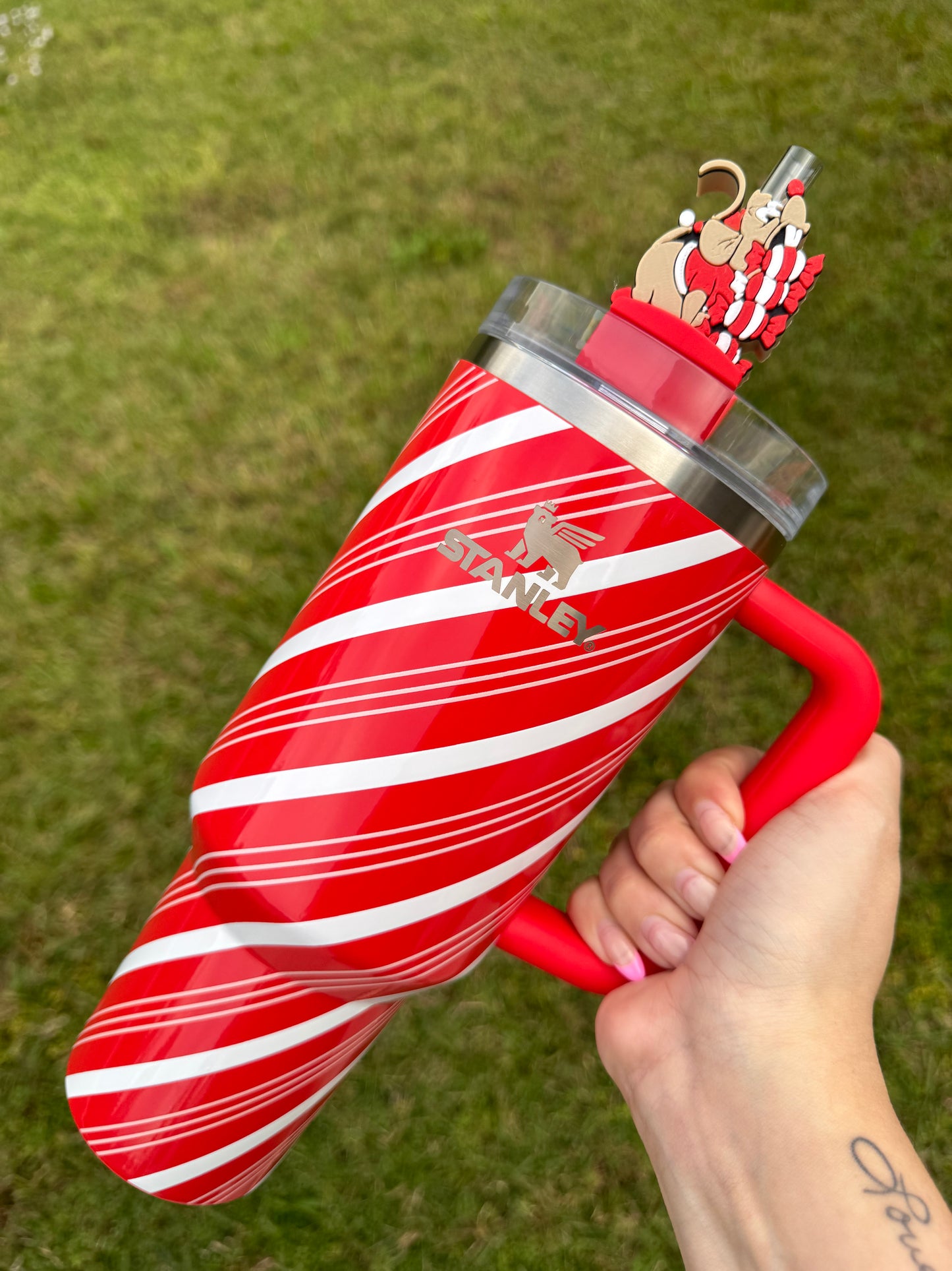 Gus with Candy Straw Buddy