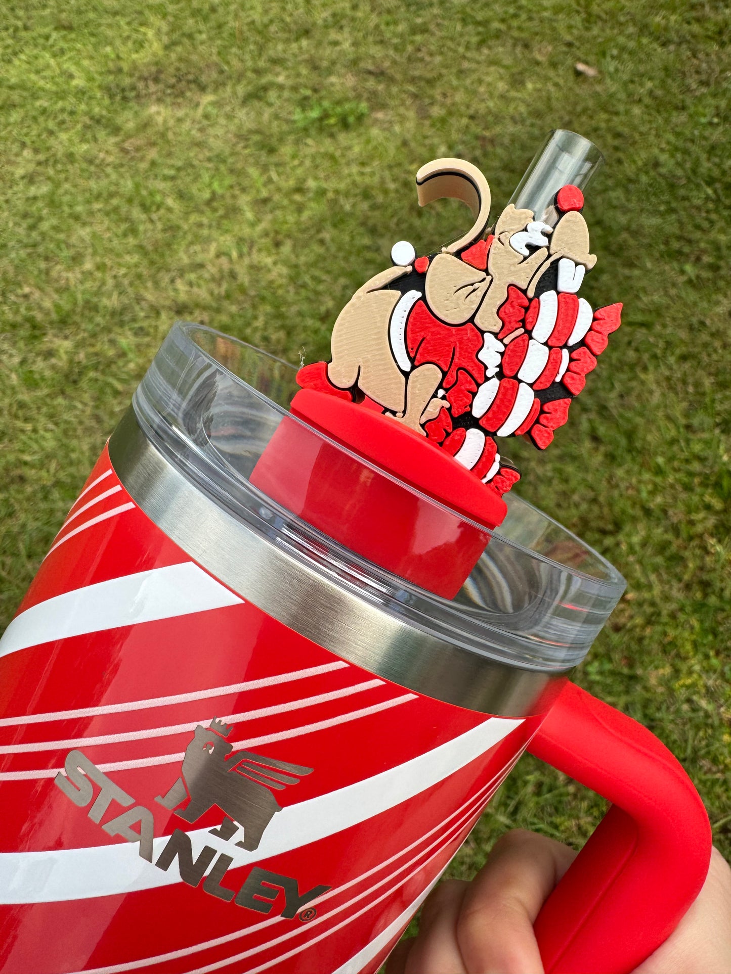 Gus with Candy Straw Buddy