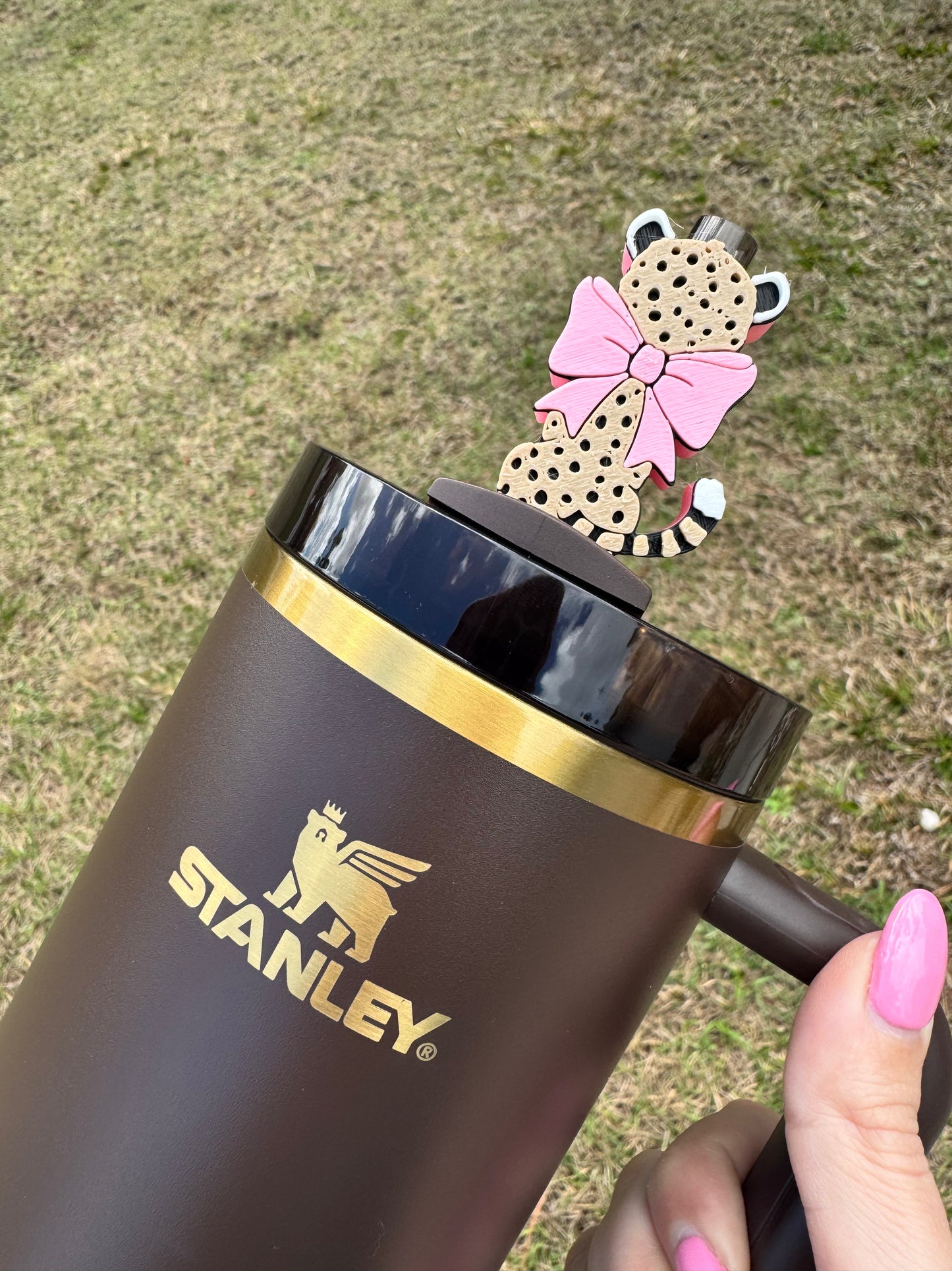 Coquette Cheetah Straw Buddy